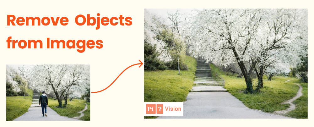 Erase image objects with Pi7 Vision